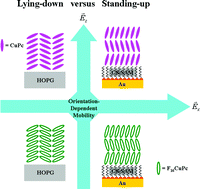 Graphical abstract: The influence of orientations and external electric field on charge carrier mobilities in CuPc and F16CuPc films on highly ordered pyrolytic graphite and octane-1-thiol terminated Au(111) substrates