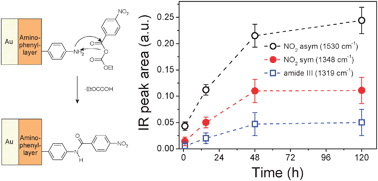 Graphical abstract: Infrared spectroscopic study of the amidation reaction of aminophenyl modified Au surfaces and p-nitrobenzoic acid as model system