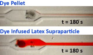 Graphical abstract: Microfluidic characterization of sustained solute release from porous supraparticles