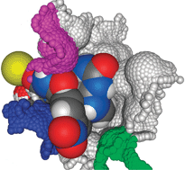 Graphical abstract: Scoring functions and their evaluation methods for protein–ligand docking: recent advances and future directions