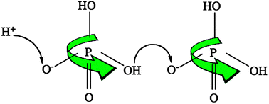 Graphical abstract: Proton transport in choline dihydrogen phosphate/H3PO4 mixtures