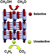 Graphical abstract: Rules for selectivity in oxidation processes on RuO2(110)