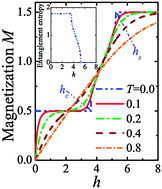 Graphical abstract: Field-controlled magnetic order with insulator–metal transitions in a periodic Anderson-like organic polymer