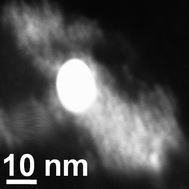 Graphical abstract: “Cloud” assemblies: quantum dots form electrostatically bound dynamic nebulae around large gold nanoparticles