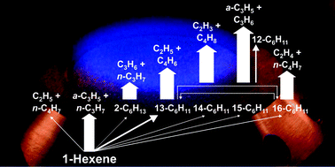 Graphical abstract: The importance of fuel dissociation and propargyl + allyl association for the formation of benzene in a fuel-rich 1-hexene flame