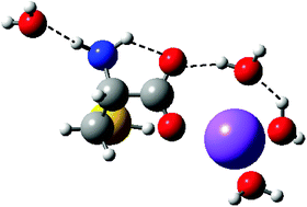 Graphical abstract: Guided ion beam and theoretical studies of sequential bond energies of water to sodium cysteine cation