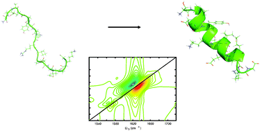 Graphical abstract: Folding dynamics of a small protein at room temperature via simulated coherent two-dimensional infrared spectroscopy