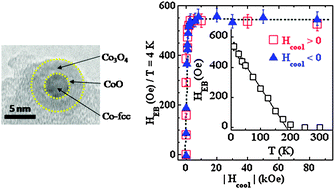Graphical abstract: Co nanoparticles inserted into a porous carbon amorphous matrix: the role of cooling field and temperature on the exchange bias effect