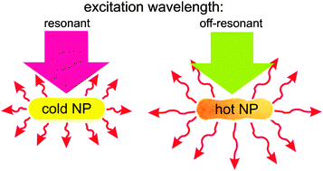 Graphical abstract: Hot plasmonic interactions: a new look at the photothermal efficacy of gold nanoparticles