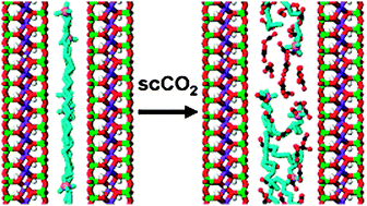 Graphical abstract: Molecular simulation of swelling and interlayer structure for organoclay in supercritical CO2