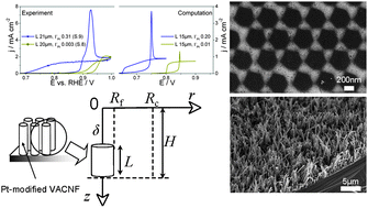 Graphical abstract: Mass transport effects in CO bulk electrooxidation on Pt nanoparticles supported on vertically aligned carbon nanofilaments