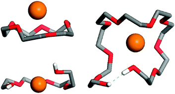 Graphical abstract: Gas–phase complexes of cyclic and linear polyethers with alkali cations