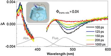 Graphical abstract: Primary photodynamics of a biomimetic model of photoactive yellow protein (PYP)