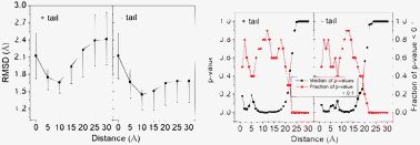 Graphical abstract: Conformational selection or induced fit for Brinker and DNA recognition