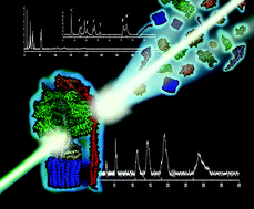 Graphical abstract: ATP synthases: cellular nanomotors characterized by LILBID mass spectrometry