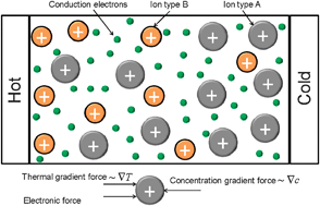 Graphical abstract: Modeling of thermodiffusion in liquid metal alloys