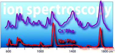 Graphical abstract: Cationized phenylalanine conformations characterized by IRMPD and computation for singly and doubly charged ions