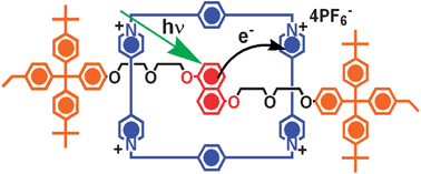 Graphical abstract: Excited state distortions in a charge transfer state of a donor–acceptor [2]rotaxane