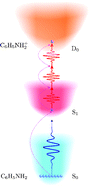 Graphical abstract: Coherent excitation phenomena in time-resolved experiments