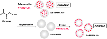 Graphical abstract: Luminescent properties of dye–PMMA composite nanospheres