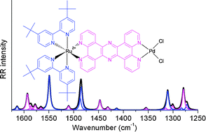 Graphical abstract: Simulation of the resonance Raman intensities of a ruthenium–palladium photocatalyst by time dependent density functional theory