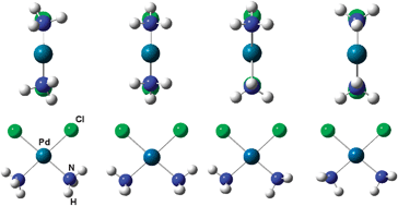 Graphical abstract: Conformational and vibrational study of cis-diamminedichloropalladium(ii)