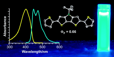 Graphical abstract: Solution and solid-state properties of highly fluorescent dithieno[3,2-b:2′,3′-d]pyrrole-based oligothiophenes