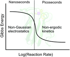 Graphical abstract: Protein–water electrostatics and principles of bioenergetics