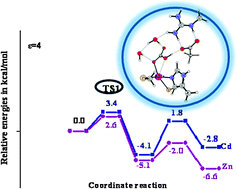 Graphical abstract: Catalytic activity of a ζ-class zinc and cadmium containing carbonic anhydrase. Compared work mechanisms