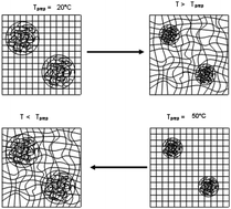 Graphical abstract: Composite hydrogels with temperature sensitive heterogeneities: influence of gel matrix on the volume phase transition of embedded poly-(N-isopropylacrylamide) microgels