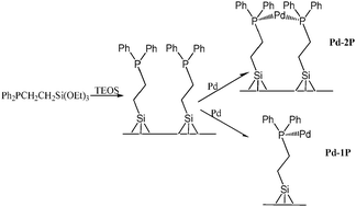 Graphical abstract: Determination of coordination modes and estimation of the 31P–31P distances in heterogeneous catalyst by solid state double quantum filtered 31P NMR spectroscopy