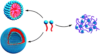 Graphical abstract: Aggregation behavior of gemini surfactants and their interaction with macromolecules in aqueous solution