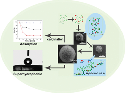 Graphical abstract: MgCO3·3H2O and MgO complex nanostructures: controllable biomimetic fabrication and physical chemical properties
