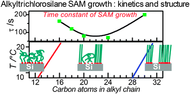 Graphical abstract: Impact of chain length, temperature, and humidity on the growth of long alkyltrichlorosilane self-assembled monolayers