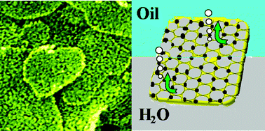 Graphical abstract: ‘Nanoreactors’ for photocatalytic H2 evolution in oil–water biphase systems