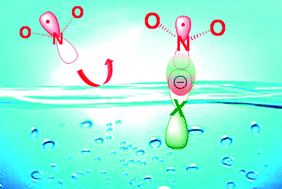 Graphical abstract: Conversion of gaseous nitrogen dioxide to nitrate and nitrite on aqueous surfactants