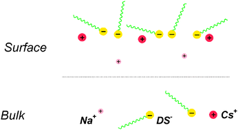 Graphical abstract: The competitive adsorption of counter-ions at the surface of anionic surfactants solution