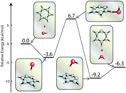 Graphical abstract: The benzene+OH potential energy surface: intermediates and transition states