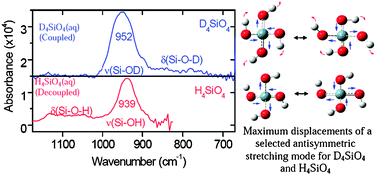 Graphical abstract: Experimental and theoretical investigations into the counter-intuitive shift in the antisymmetric ν(Si–O) vibrational modes upon deuteration of solvated silicic acid (H4SiO4)
