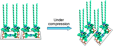 Graphical abstract: Molecular organization and effective energy transfer in iridium metallosurfactant–porphyrin assemblies embedded in Langmuir–Schaefer films