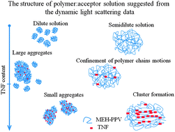 Graphical abstract: Macromolecular dynamics of conjugated polymer in donor–acceptor blends with charge transfer complex