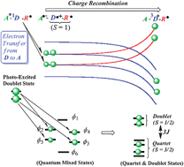 Graphical abstract: Theoretical study of dynamic electron-spin-polarization via the doublet-quartet quantum-mixed state and time-resolved ESR spectra of the quartet high-spin state