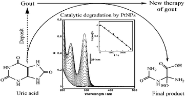 Graphical abstract: Nano-sized platinum as a mimic of uricase catalyzing the oxidative degradation of uric acid