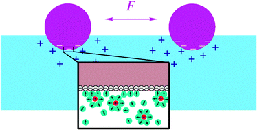 Graphical abstract: Charged particles at fluid interfaces as a probe into structural details of a double layer