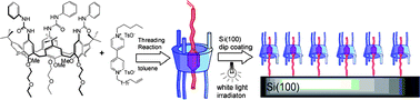 Graphical abstract: Surface grafting and reactivity of calixarene-based receptors and pseudorotaxanes on Si(100)