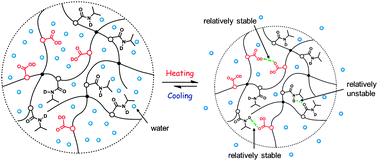 Graphical abstract: Spectral interpretation of thermally irreversible recovery of poly(N-isopropylacrylamide-co-acrylic acid) hydrogel