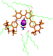 Graphical abstract: Basicity, complexation ability and interfacial behavior of BTBPs: a simulation study