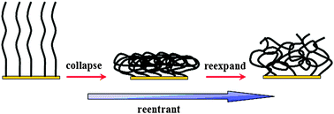 Graphical abstract: Reentrant behavior of grafted poly(sodium styrenesulfonate) chains investigated with a quartz crystal microbalance