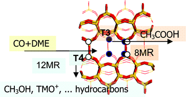 Graphical abstract: Mechanistic differences between methanol and dimethyl ether carbonylation in side pockets and large channels of mordenite