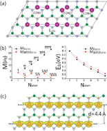 Graphical abstract: Electronic and magnetic properties of substituted BN sheets: A density functional theory study